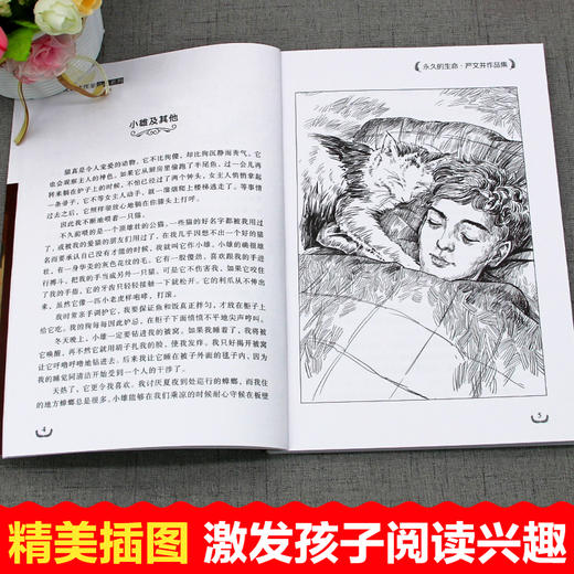 冰心奖作品书系 全套7册 初中必读课外阅读书籍 语文读本 适合初中生初一初二初三课外书正版七年级八年级书目 老师推荐必看的读物 商品图2