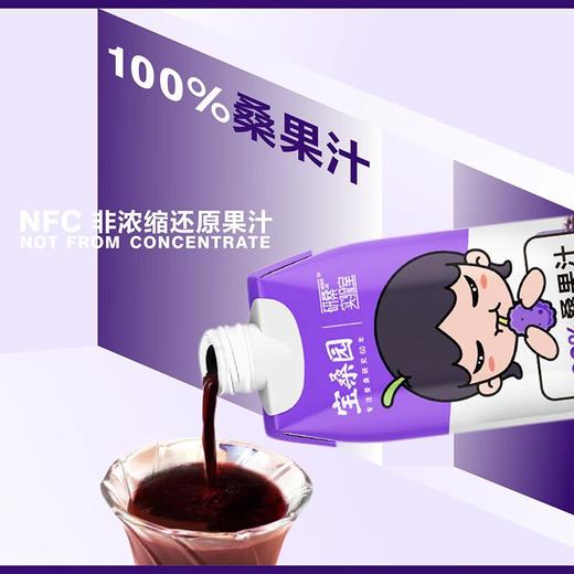 宝桑园桑果汁330ml 商品图1