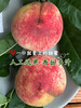 河南桐柏血桃 新鲜水果整箱5斤 商品缩略图1