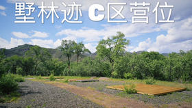 【露营】C区-固定营位单人票价