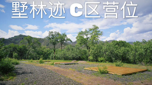 【露营】C区-固定营位单人票价 商品图0