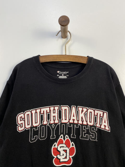 Champion 冠军 南达科他州 短袖T恤 _SST(S) 商品图0