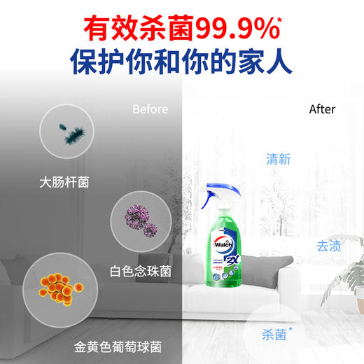 威露士  抗菌喷雾 多用抗菌喷雾  500ml 商品图2