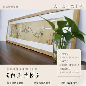 大唐艺贝《白玉兰图》 文徵明 原尺寸