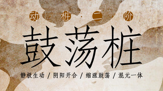 【桩功专训】4—鼓荡桩（动桩二阶）训练营 商品图0