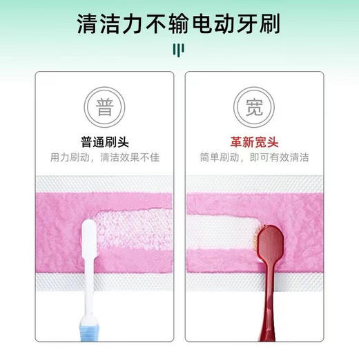 [2支装】EBISU惠百施宽头牙刷6列41孔软毛牙刷软毛（颜色随机发货） 商品图8
