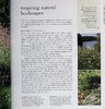 【中商原版】新式野生花园 自然种植与实用性 英文原版 New Wild Garden Naturalstyle planting and practicalities Ian Hodgson 商品缩略图5