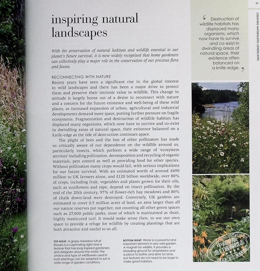 【中商原版】新式野生花园 自然种植与实用性 英文原版 New Wild Garden Naturalstyle planting and practicalities Ian Hodgson 商品图5