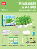万物萌发系列-云朵小菜园TK10607 商品缩略图0