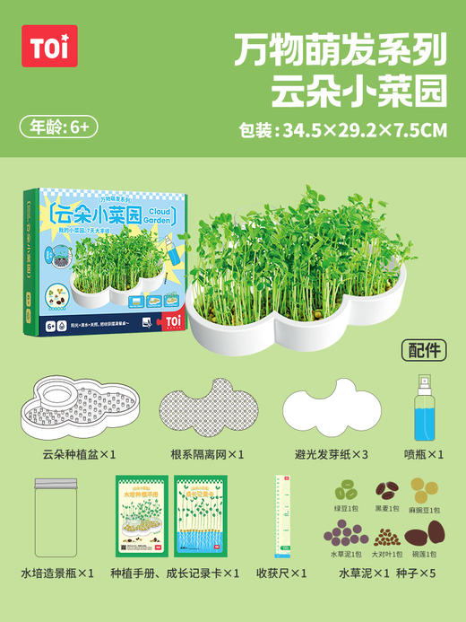 万物萌发系列-云朵小菜园TK10607 商品图0