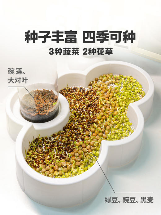 万物萌发系列-云朵小菜园TK10607 商品图1