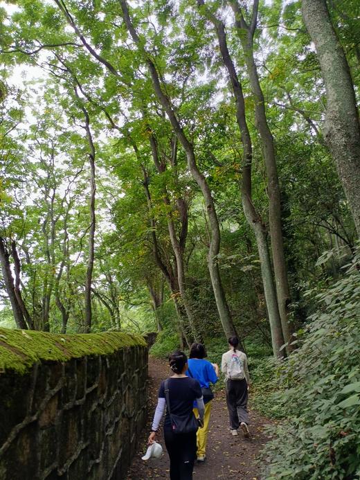 【张飞古道】暂定上线 | 张飞古道+长生滩渡口逃离城市喧嚣~ 商品图0