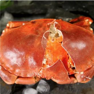 纯野生原装进口 面包蟹600-800g/只熟冻海鲜水产特大超大螃蟹黄金蟹 商品图0