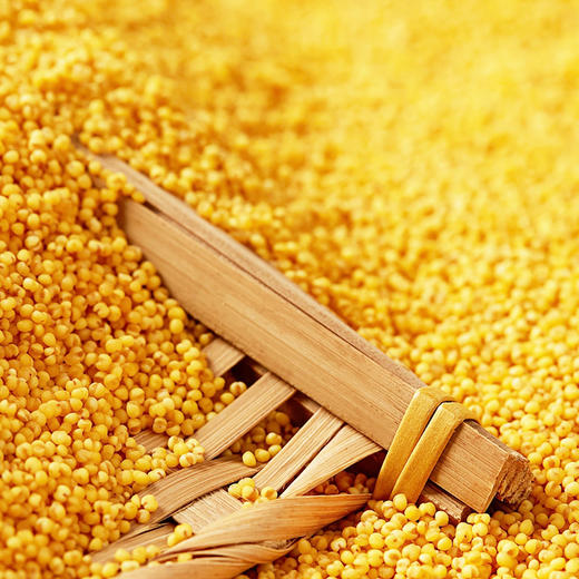 甄食在 小米 300g*4盒 商品图6