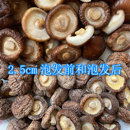 【给你一个健康美味的选择！农家新鲜干香菇干货】朵大菇厚，口感鲜美，味香质纯肉厚细嫩，跟蒂短小，厚菇农家新鲜干香菇使用蘑菇冬菇干货香菇健康 商品图3