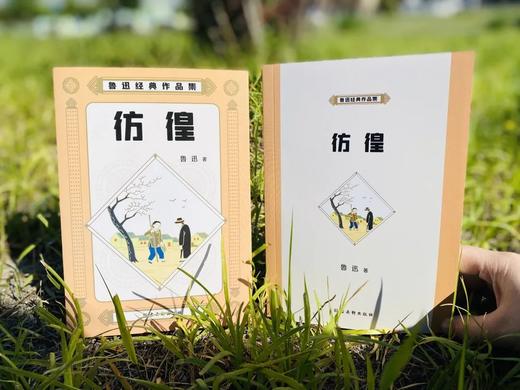 《鲁迅经典作品集（8册）》读鲁迅经典作品，读鲁迅对人间万象的细腻描写，对人生的思考，对历史的审视，对现实的嘲讽。 商品图4