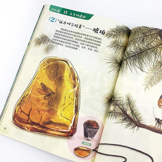 《科学家带你玩转大自然》（全2册））自然笔记本+明信片+8节视频课程 商品图3