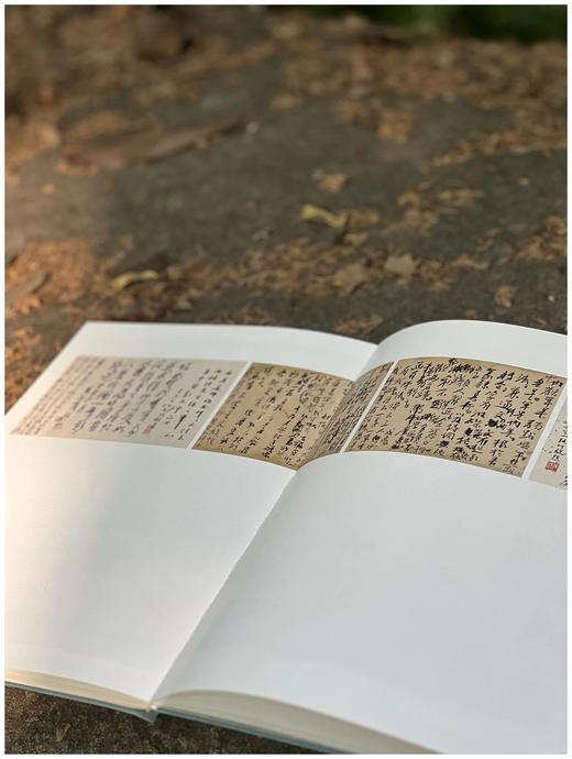 《黄宾虹墨迹》，软精装16开，黄宾虹著，浙江人民美术出版社2018年一版一印，定价120，售价108元。 商品图4