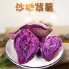 【鲜香软糯！山东沙地小紫薯】软糯细腻香味扑鼻，软糯板栗味，软糯香甜新鲜美味，薯香浓郁水润饱满，入口绵密，捧在手里，闻着紫薯的醉人香气健康 商品缩略图0