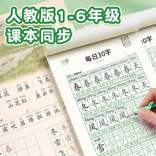 带笔顺的每日30字【减压练字帖】小学1-6年级同步课本生字点阵楷书字帖含笔画偏旁控笔含视频同步教学 商品图1