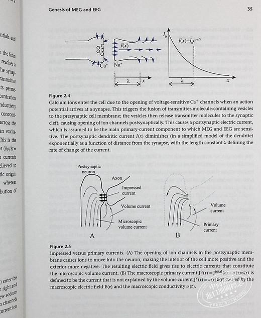 【中商原版】大脑信号 脑磁图与脑电图的物理学和数学 Brain Signals 英文原版 Risto J Ilmoniemi 商品图7