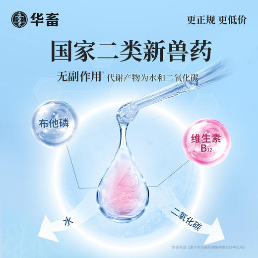 【社群专享】华畜复方布他磷注射液100ml 动物能量补充剂 维生素B12 商品图2