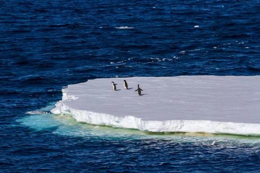 南极·剑桥专题公民科学考察项目招募 商品图2