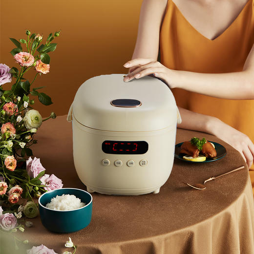 【小程序】小熊电饭煲 DFB-B20N2 米白色 带量杯+饭勺+蒸茏 商品图1
