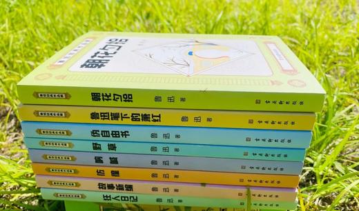 《鲁迅经典作品集（8册）》读鲁迅经典作品，读鲁迅对人间万象的细腻描写，对人生的思考，对历史的审视，对现实的嘲讽。 商品图6