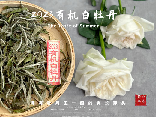 【2023春茶】2023有机白牡丹，牡丹王一般的秀长芽头，花香温柔，犹如添香的红袖 商品图2