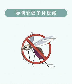 4个小妙招，蚊子远离你！