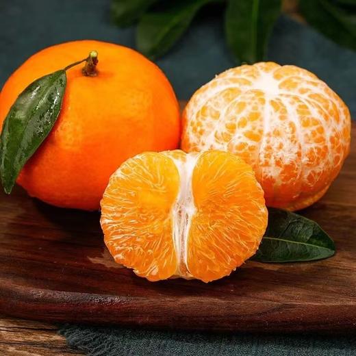 澳桔 商品图0