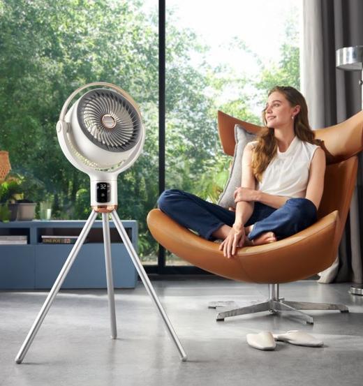 8折优惠 | 摩飞负离子空气循环扇 家用节能 立式落地 商品图1