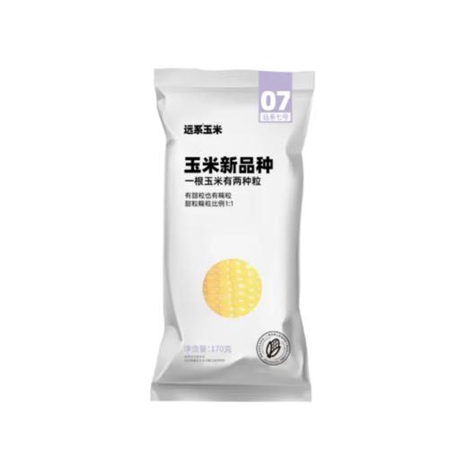 远系7号玉米杂交非转基因玉米 东北新鲜真空 甜粒糯粒1：1 商品图4