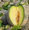 玲珑蜜瓜 |水果 商品缩略图0