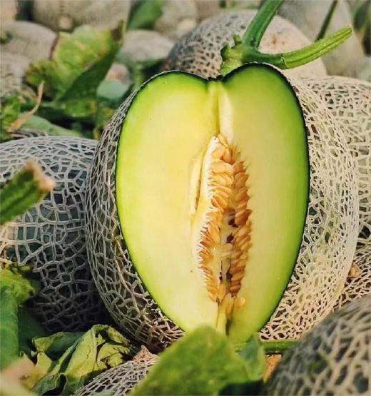 玲珑蜜瓜 |水果 商品图0