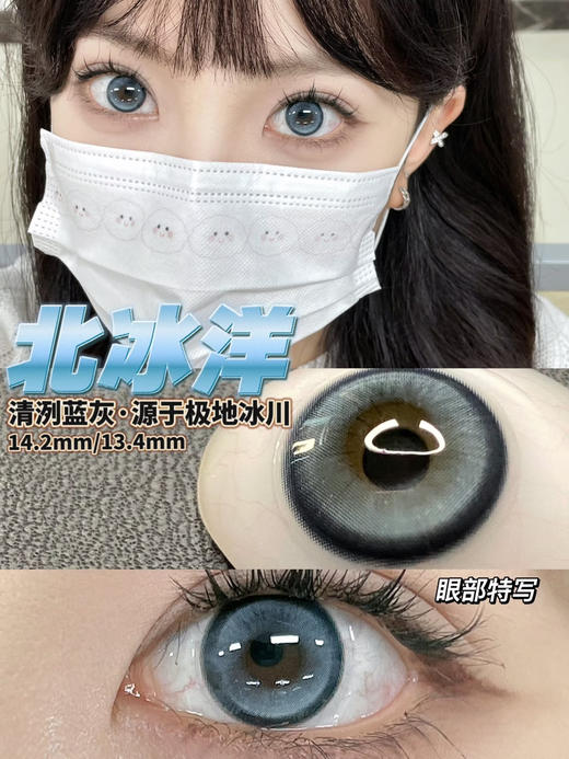 北冰洋【日抛】 商品图0