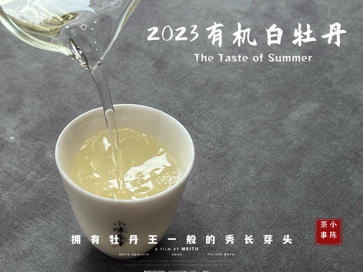 【2023春茶】2023有机白牡丹，牡丹王一般的秀长芽头，花香温柔，犹如添香的红袖 商品图13