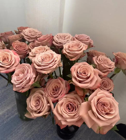 【秒杀福利】南粤推荐-卡布奇诺  20枝 商品图0