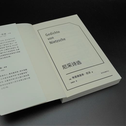 尼采诗选   弗里德里希·尼采 商品图3
