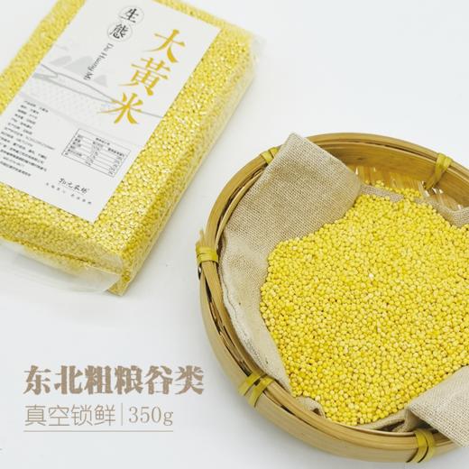 【包邮】【东北大黄米新米】来自吉林通化 人工种植 拒绝转基因与农药化肥  |天然黏糯 绵软弹牙 350g/包 商品图4