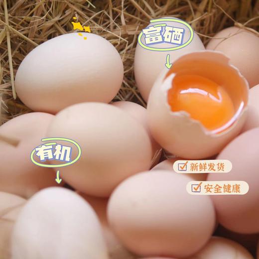 【山林有机鸡蛋】礼盒富硒品质，0农残，0重金属，0色素，山林散养，经过清洗消毒杀菌等步骤，有机认证，实实在在看得见的“安心蛋”！下单套餐联系客服分批发货，没有时间限制~ 商品图1