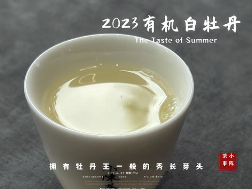 【2023春茶】2023有机白牡丹，牡丹王一般的秀长芽头，花香温柔，犹如添香的红袖 商品图14