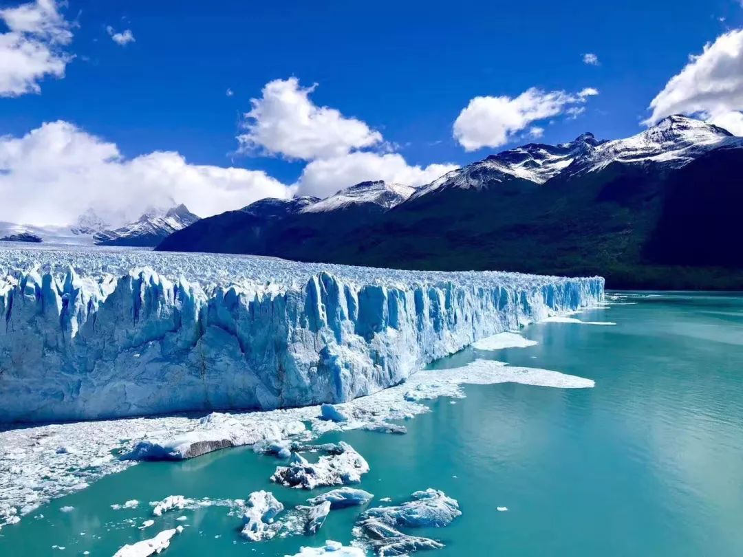 南极·剑桥专题公民科学考察项目招募