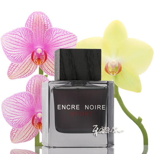 保税仓  莱俪 墨恋男士香水 运动版 馥郁版 Lalique Encre Noire 100ml 商品图1