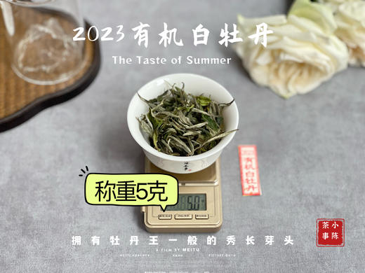 【2023春茶】2023有机白牡丹，牡丹王一般的秀长芽头，花香温柔，犹如添香的红袖 商品图7