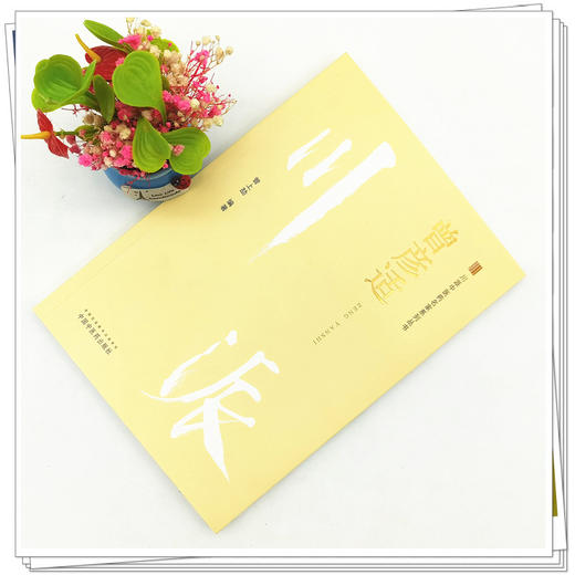 曾彦适（川派中医药名家系列丛书） 曾上劼 著 中国中医药出版社 商品图2