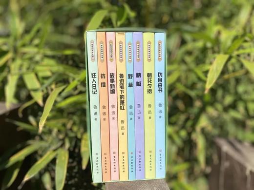 《鲁迅经典作品集（8册）》读鲁迅经典作品，读鲁迅对人间万象的细腻描写，对人生的思考，对历史的审视，对现实的嘲讽。 商品图2