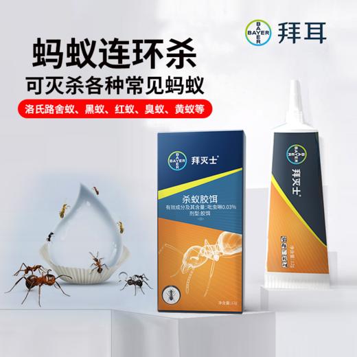 德国拜耳拜灭士蚂蚁药一窝端灭蚁清灭除杀蚁剂家用神器室内阳台蚂蚁清除 商品图0