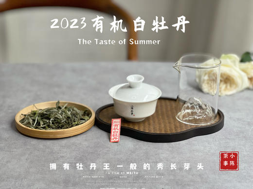 【2023春茶】2023有机白牡丹，牡丹王一般的秀长芽头，花香温柔，犹如添香的红袖 商品图6